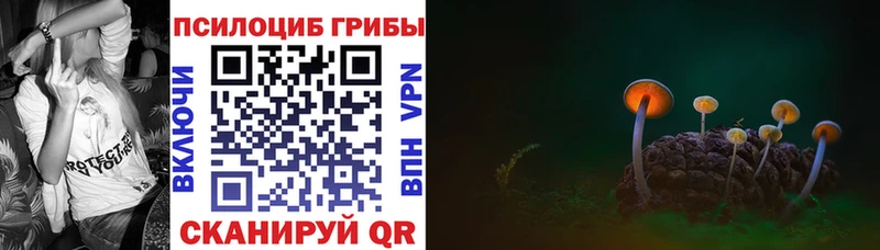 Псилоцибиновые грибы Cubensis где купить наркоту Котельниково